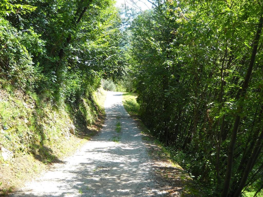 Agriturismo Cascina Lert Marone Dış mekan fotoğraf